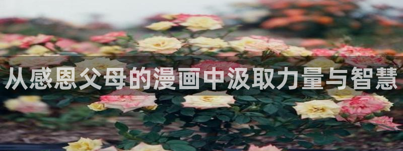 包子漫画在线官方页面入口：从感恩父母的漫画中汲取力量与智慧