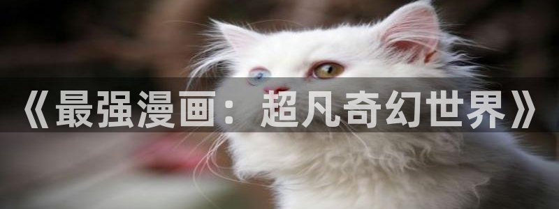 大王饶命在线漫画免费阅读包子漫画：《最强漫画：超凡奇幻世界》