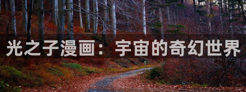 我是大神仙包子漫画：光之子漫画：宇宙的奇幻世界