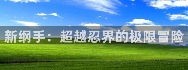 魔临漫画包子漫画：新纲手：超越忍界的极限冒险